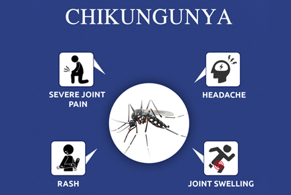 Chikungunya