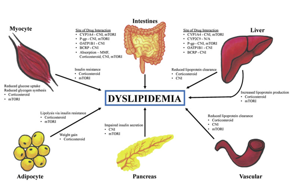 Dyslipidemia