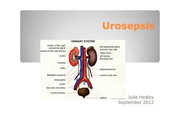 Urosepsis