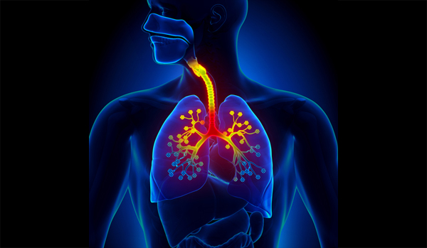 Chest / Respiratory Disorders