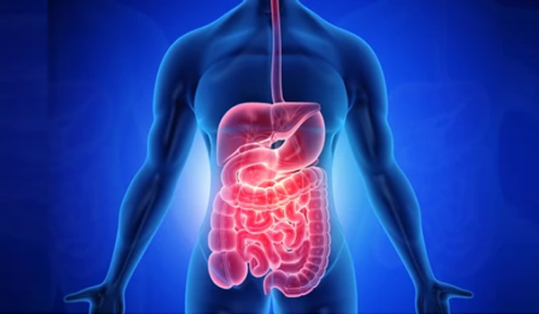 Gastrointestinal Problems