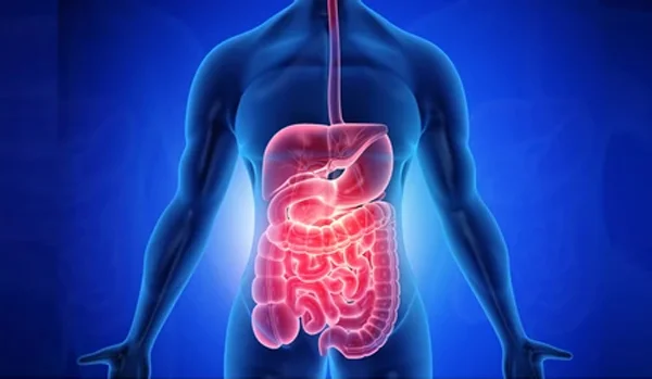Gastrointestinal Problems