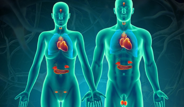 Thyroid and Hormonal Disorder